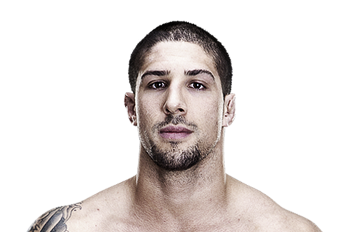 Brendan Schaub